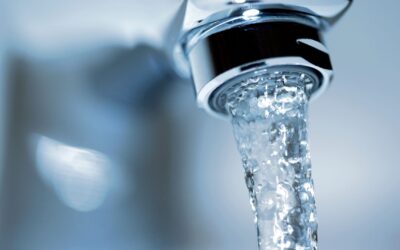 EL USO DE AGUA IONIZADA ALCALINA EN COCINA