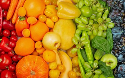 GUÍA GENERAL DE COCINA Y PREPARACIÓN DE ALIMENTOS